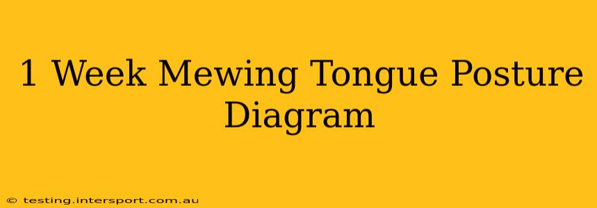 1 Week Mewing Tongue Posture Diagram