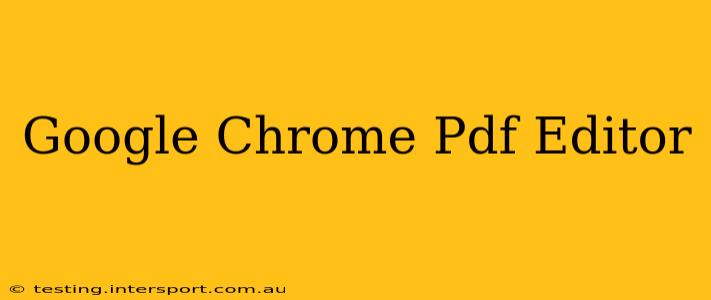 Google Chrome Pdf Editor