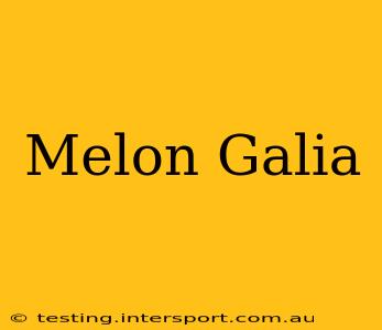 Melon Galia