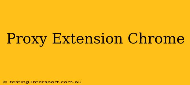 Proxy Extension Chrome