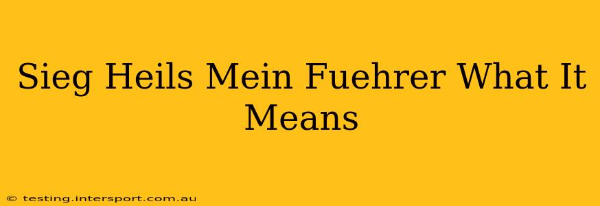 Sieg Heils Mein Fuehrer What It Means