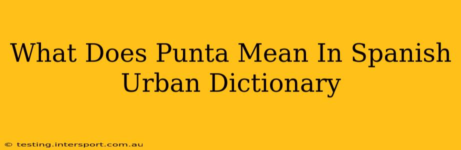What Does Punta Mean In Spanish Urban Dictionary